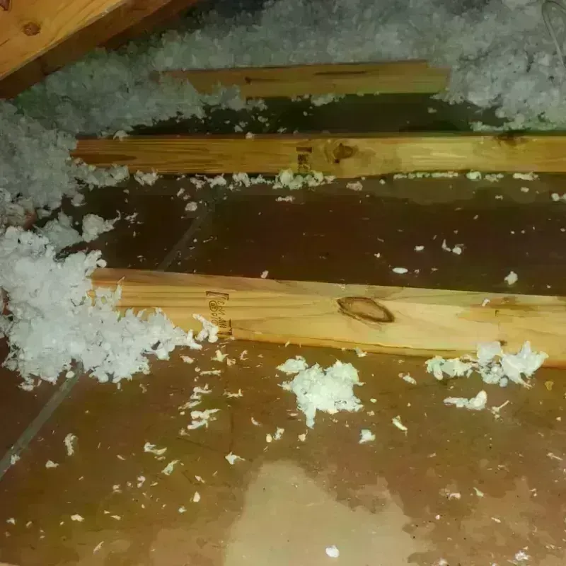 Attic Water Damage in Country Club Village, MO